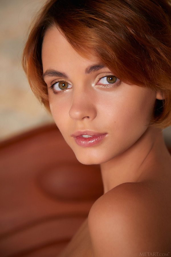 PHOTO | 11 134 600x900 - Animal Print