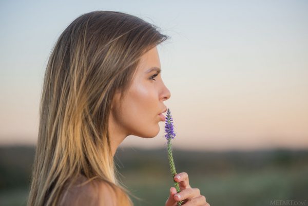 PHOTO | 12 143 600x401 - Stunning Brunette Zelda