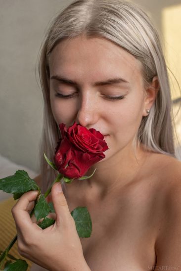 PHOTO | 04 15 366x548 - The Rose
